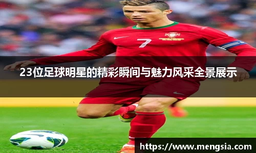 23位足球明星的精彩瞬间与魅力风采全景展示